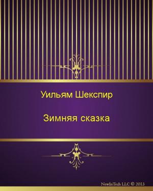 Book cover of Зимняя сказка
