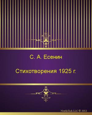 Book cover of Стихотворения 1925 г.