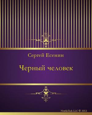 Cover of the book Черный человек by Quentin Bach
