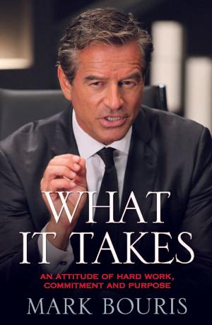 Book cover of What it Takes