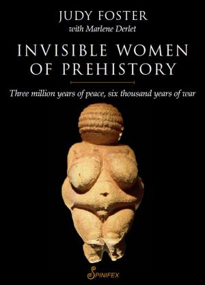 Book cover of Invisible Women of Prehistory