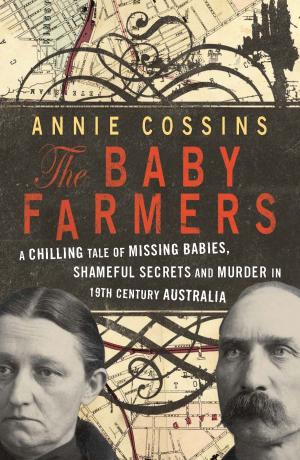 Cover of the book The Baby Farmers by Barry Stone