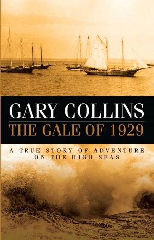 bigCover of the book The Gale of 1929 by 