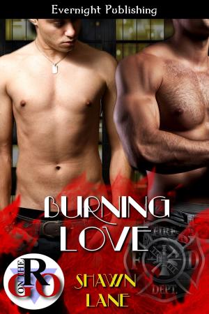 Cover of the book Burning Love by Jessica Marting