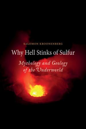 Cover of the book Why Hell Stinks of Sulfur by Victor I. Stoichita
