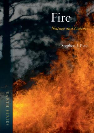 Cover of the book Fire by Marc Atkins, Iain Sinclair