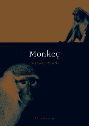 Cover of the book Monkey by Roy Porter
