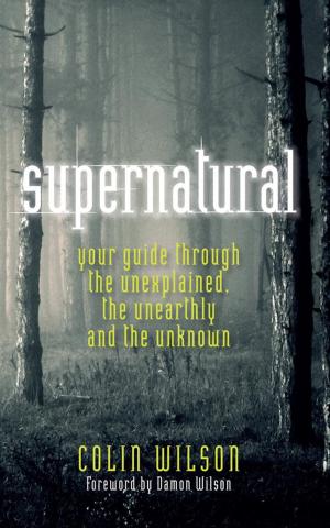 Cover of the book Supernatural by David Fontana