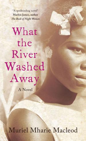 Cover of the book What the River Washed Away by David Nash