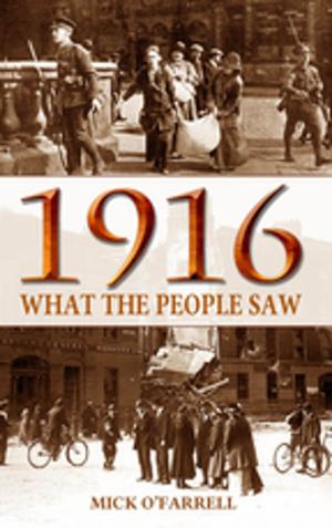 Cover of the book 1916: What the People Saw During the 1916 Rising by Tony Doherty