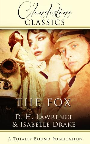 Cover of the book The Fox by Cassie O'Brien