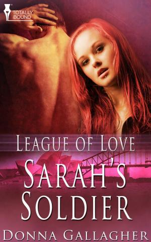 Book cover of Sarah's Soldier