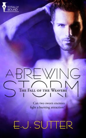 Cover of the book A Brewing Storm by Morticia Knight