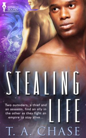 Cover of the book Stealing Life by Trina Lane