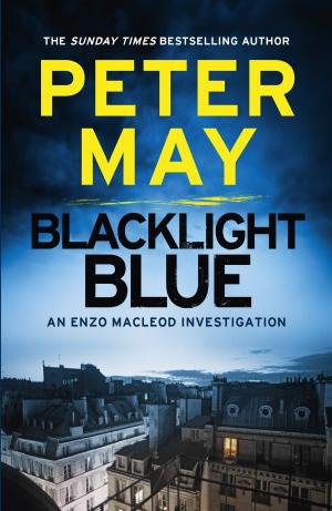 Cover of the book Blacklight Blue by Anders Roslund, Börge Hellström