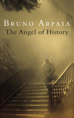 Cover of The Angel Of History