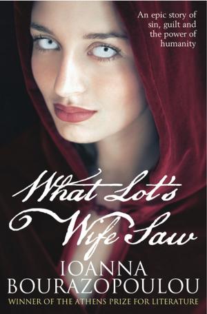 Cover of the book What Lot's Wife Saw by M. P. Wright