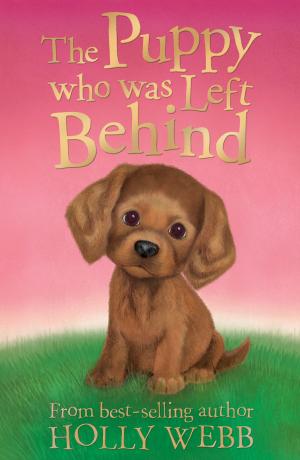 Book cover of The Puppy who was Left Behind