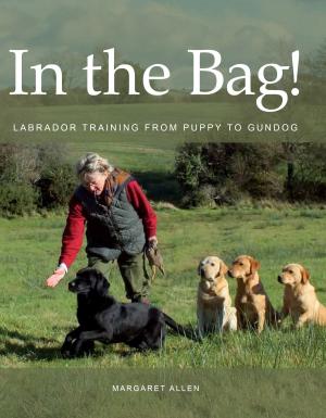 Cover of the book In the Bag! by Kathy Abbott