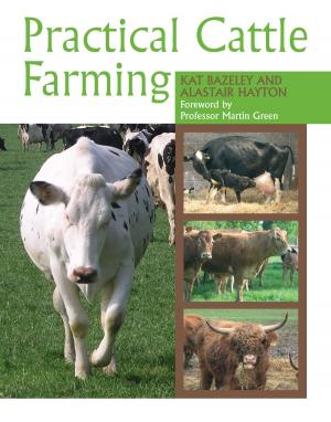 Cover of the book Practical Cattle Farming by Ken Stewart