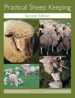 Cover of the book Practical Sheep Keeping by Vincent Molenaar, Alexander Prinz