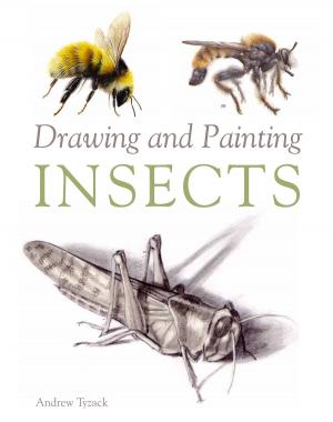 Cover of the book Drawing and Painting Insects by Iain Ayre, Rob Hawkins
