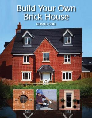 Cover of the book Build Your Own Brick House by Bruno Guillou, Nicolas Sallavuard, François Roebben, Nicolas Vidal