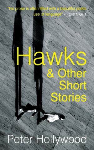 Cover of the book Hawks by Clíodhna Ní Anluain