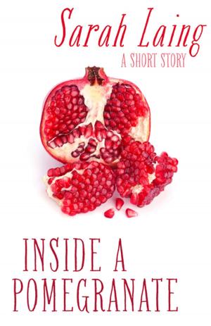 Cover of the book Inside a Pomegranate by Owen Marshall