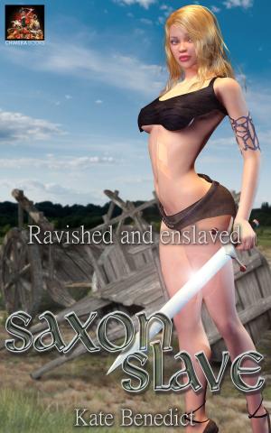 Cover of the book Saxon Slave by Laurel Aspen
