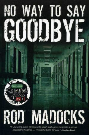 Cover of the book No Way to Say Goodbye by 