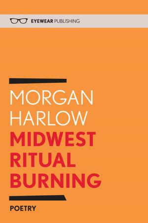 bigCover of the book Midwest Ritual Burning by 