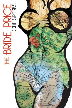 Cover of the book The Bride Price by Cathy Perkins