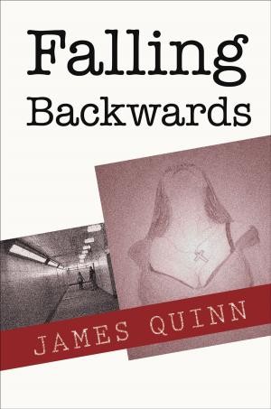 Book cover of Falling Backwards