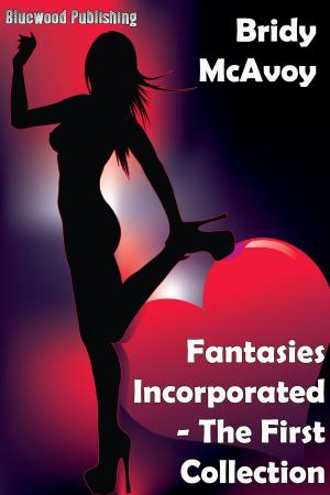 Cover of the book Fantasies Incorporated: The First Collection by Paulette Rae
