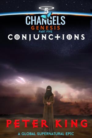 Cover of the book Conjunctions by C. M. Barrett