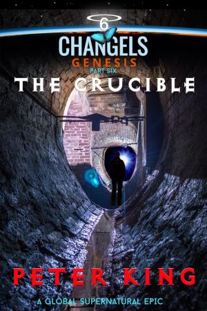 Cover of the book The Crucible by A.A. Chamberlynn