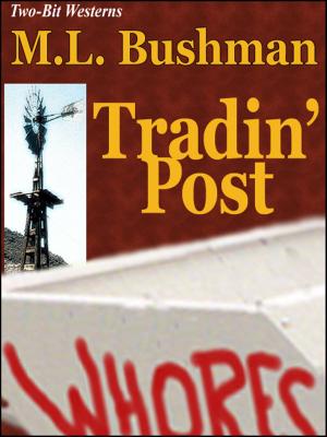 Cover of the book Tradin' Post by M.L. Bushman
