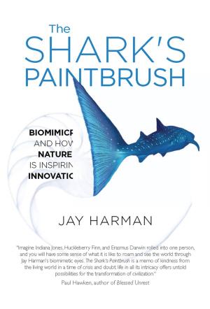Cover of the book The Shark's Paintbrush by Tamsin Woolley-Barker