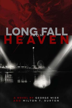 Book cover of Long Fall from Heaven
