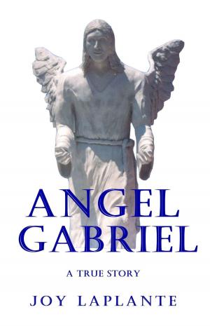 Cover of the book Angel Gabriel: A True Story by Charlotte Russell Johnson