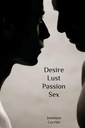 bigCover of the book Desire, Lust, Passion, Sex by 