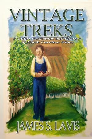 Cover of the book Vintage Treks by Brad Stratton