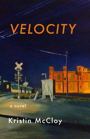 Cover of the book Velocity by David Samuel Levinson