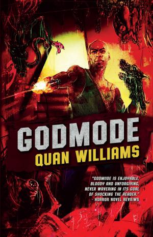 Cover of the book Godmode by David G. Barnett