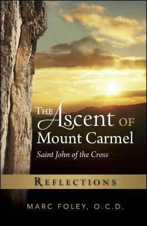 Cover of the book The Ascent of Mount Carmel: Reflections by Sr.  Mary Paul Cutri, O.C.D.
