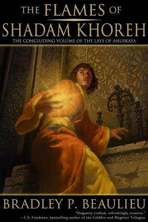 Cover of the book The Flames of Shadam Khoreh by A.W.Chrystalis