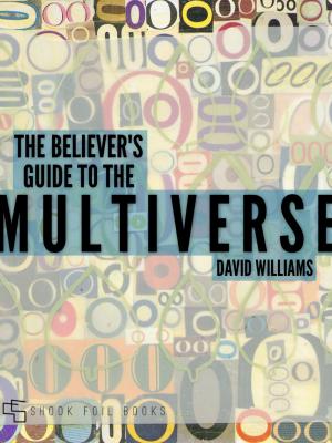 Cover of the book The Believer's Guide to the Multiverse by Nathan Dyer, Kelly Theobald, Peter Sanders and Paula Heelan