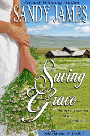 Book cover of Saving Grace (Safe Havens 1)