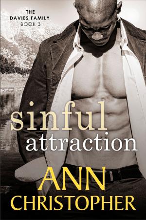 Book cover of Sinful Attraction